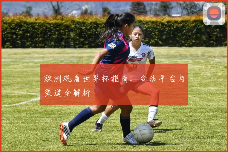 欧洲观看世界杯指南：合法平台与渠道全解析