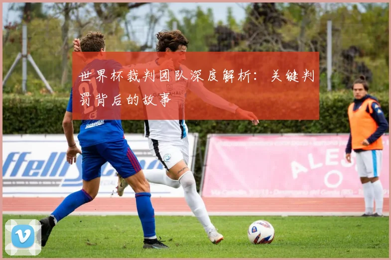 世界杯裁判团队深度解析：关键判罚背后的故事