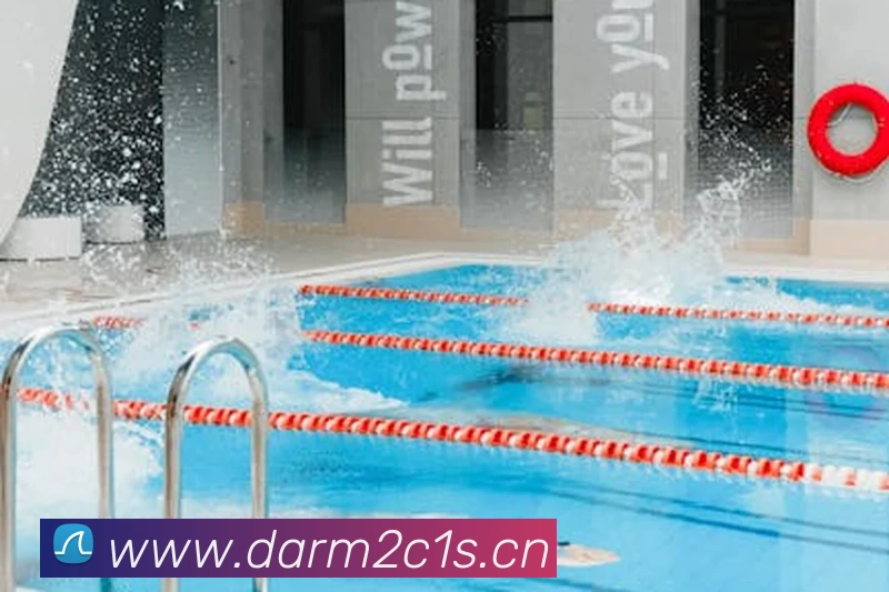 多媒体互动体验